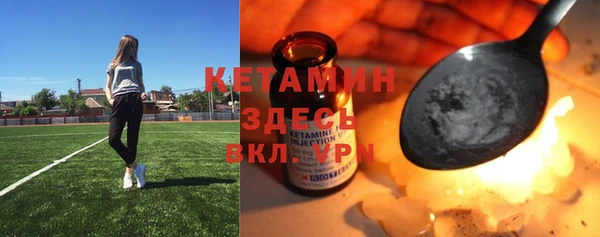 индика Коряжма