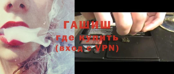 индика Коряжма